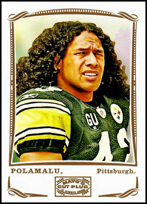 263 Troy Polamalu